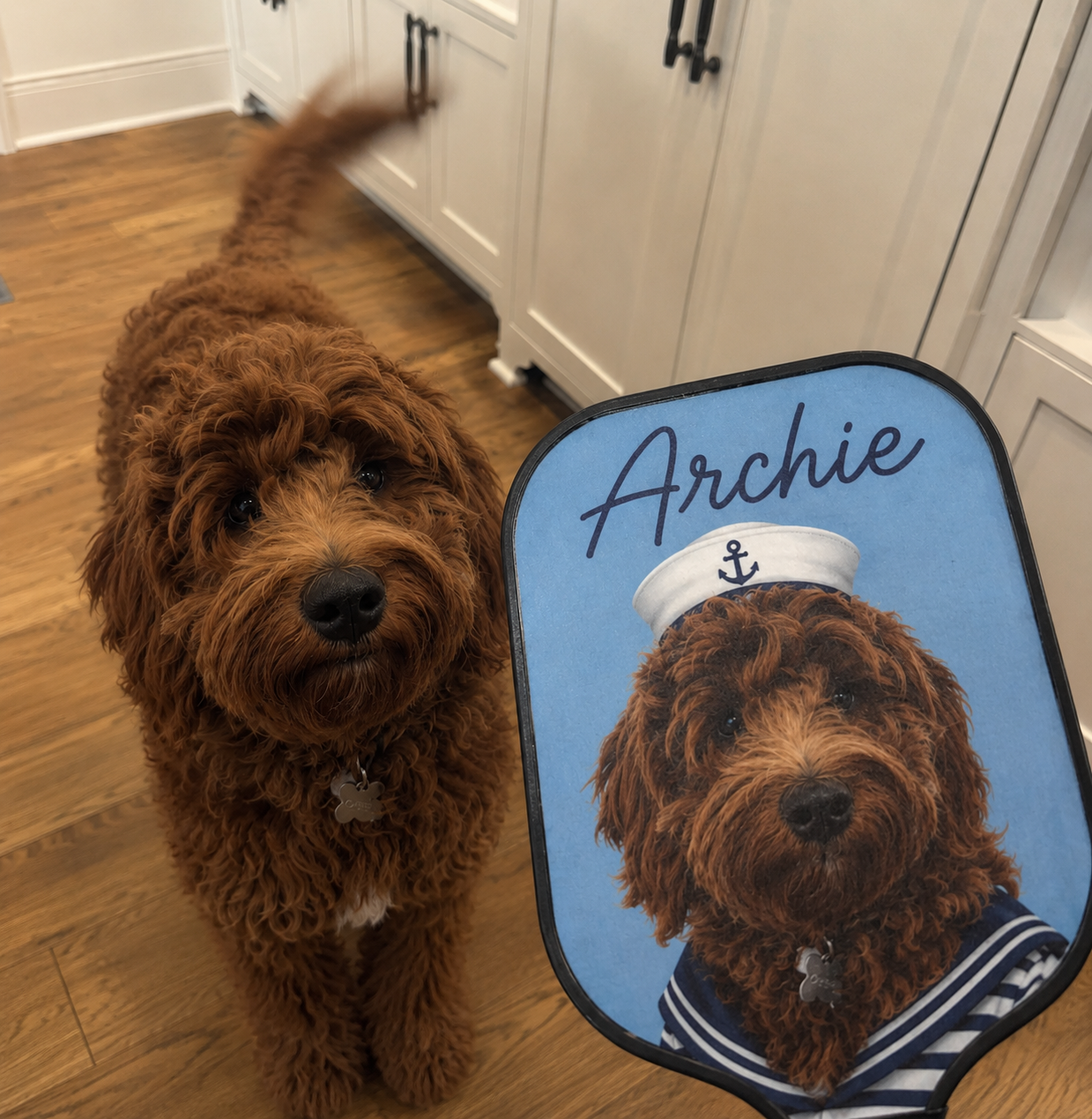Custom Pet Pickleball Kit